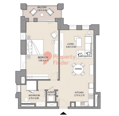 1 Bedroom Apartment