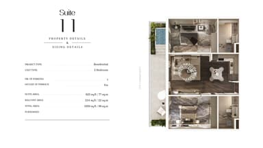 Suite 11