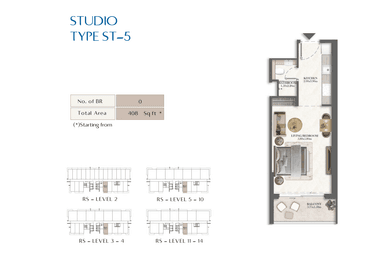 Type 5