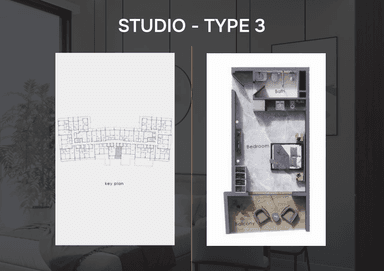 Type 3