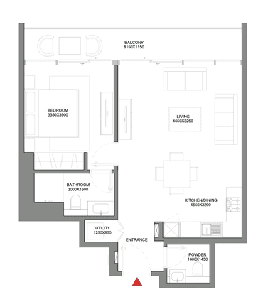 1 Bedroom Apartment