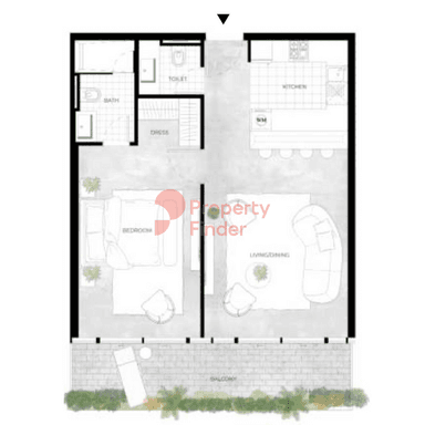 1 Bedroom Apartment
