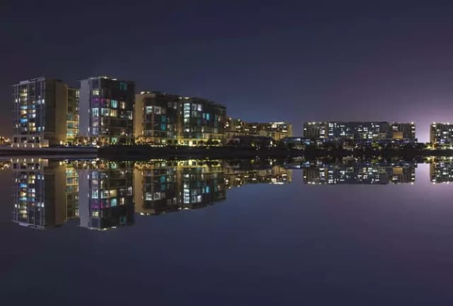 Saadiyat Grove