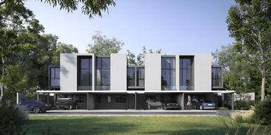 Robinia 2