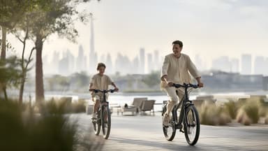 Dubai Creek Gardens 3