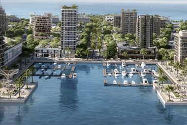 Mirasol 5
